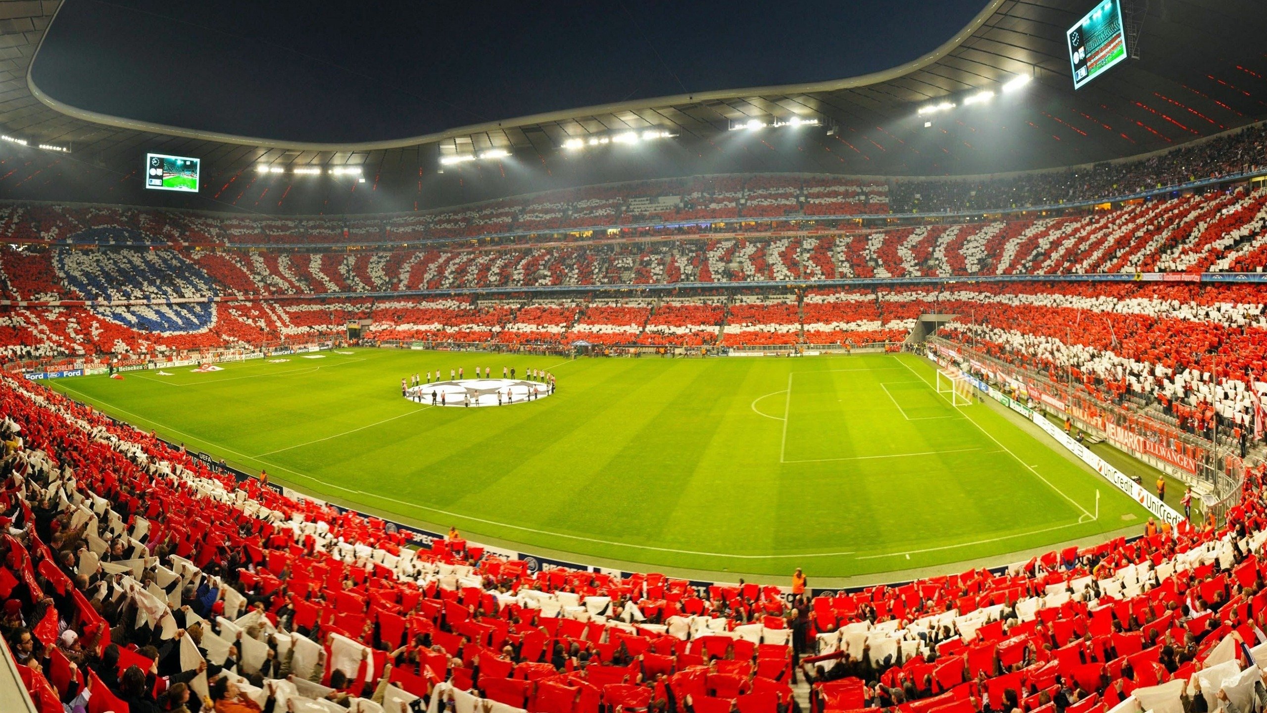 “诺克·达维德·彼得森：南非羚羊队的未来领军人物”