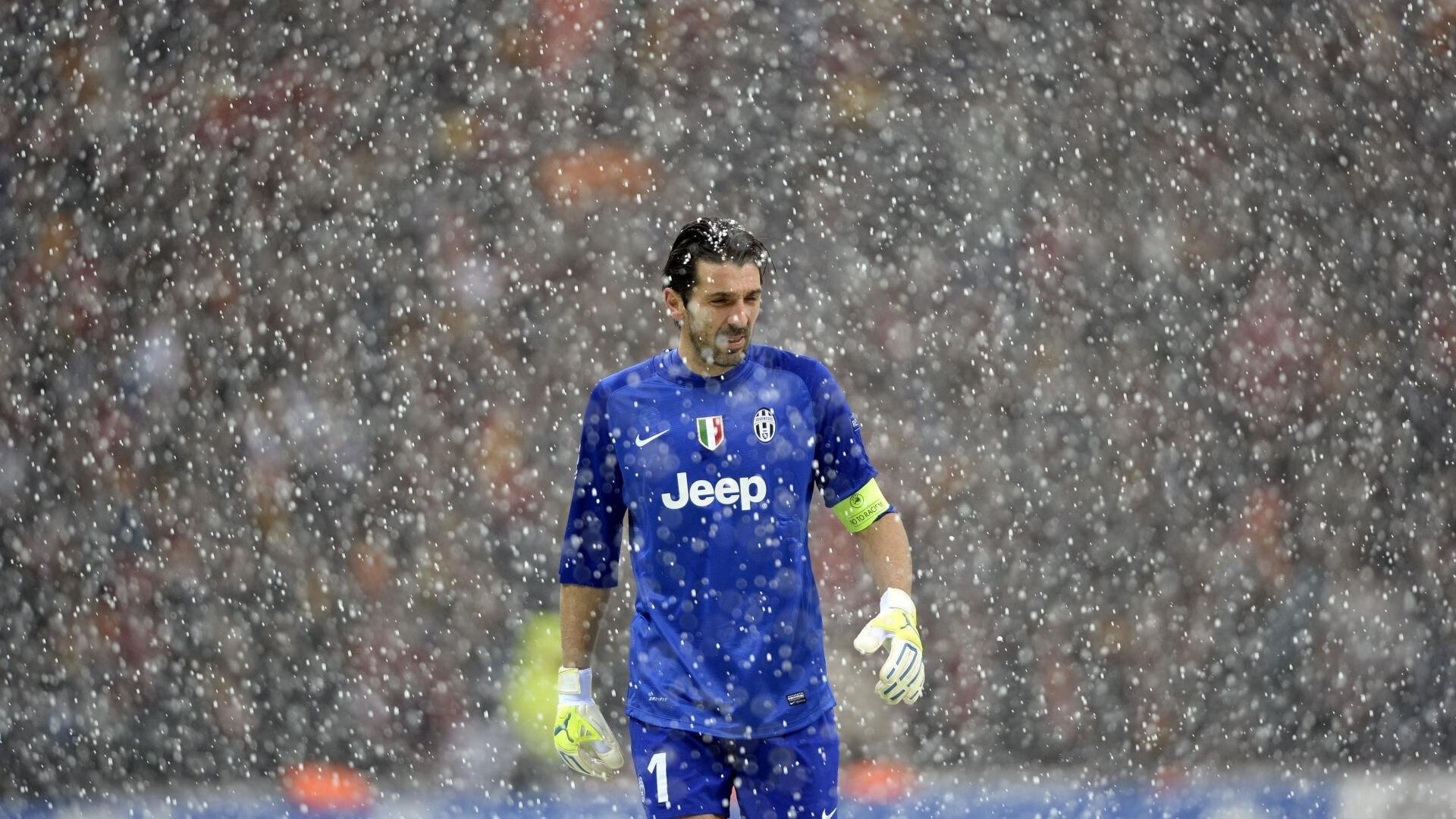 “霍斯特在南非羚羊队中的作用日益关键”